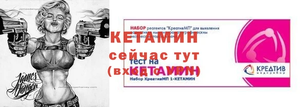 гидра Абаза
