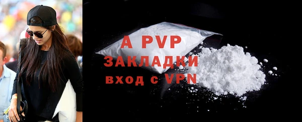 гидра Абаза