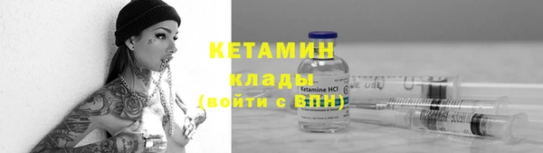 гидра Абаза