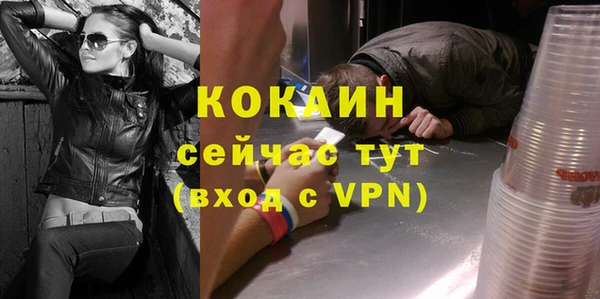 гидра Абаза