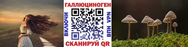 мега   Краснозаводск  Галлюциногенные грибы мухоморы  купить закладку 